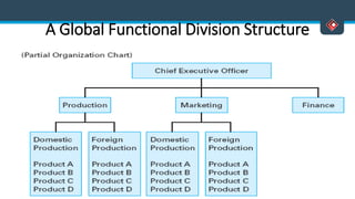 A Global Functional Division Structure
 