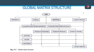 GLOBAL MATRIX STRUCTURE
 