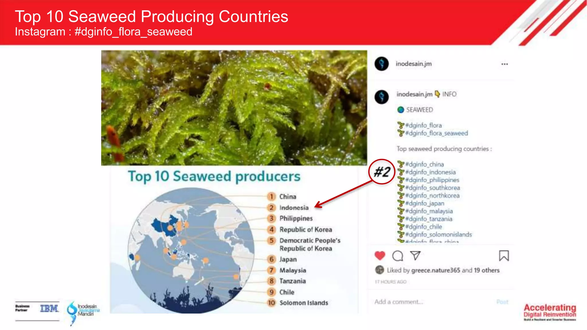 Top 10 Seaweed Producing Countries
Instagram : #dginfo_flora_seaweed
 