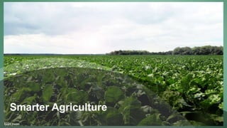 IBM Research  Increasing the Speed & Scale of Impact