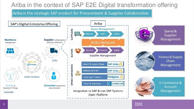 Ibm Sap Ariba Overview