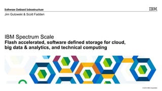 © 2014 IBM Corporation
IBM Spectrum Scale
Flash accelerated, software defined storage for cloud,
big data & analytics, and technical computing
Jim Gutowski & Scott Fadden
 