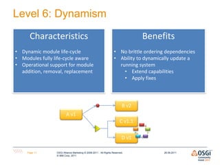 Level 6: Dynamism
     Characteristics                                                            Benefits
• Dynamic modul...
