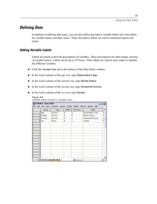 31

                                                                                      Using the Data Editor


Defining Data
        In addition to deﬁning data types, you can also deﬁne descriptive variable labels and value labels
        for variable names and data values. These descriptive labels are used in statistical reports and
        charts.


Adding Variable Labels
        Labels are meant to provide descriptions of variables. These descriptions are often longer versions
        of variable names. Labels can be up to 255 bytes. These labels are used in your output to identify
        the different variables.

     E Click the Variable View tab at the bottom of the Data Editor window.

     E In the Label column of the age row, type Respondent's Age.

     E In the Label column of the marital row, type Marital Status.

     E In the Label column of the income row, type Household Income.

     E In the Label column of the sex row, type Gender.

        Figure 3-6
        Variable labels entered in Variable View
 