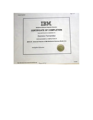IBM_WS Business Modeler - Advanced