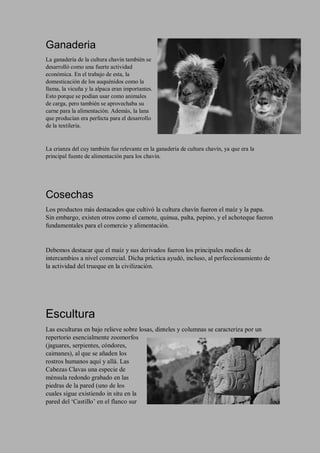 Ganaderia
La ganadería de la cultura chavín también se
desarrolló como una fuerte actividad
económica. En el trabajo de esta, la
domesticación de los auquénidos como la
llama, la vicuña y la alpaca eran importantes.
Esto porque se podían usar como animales
de carga, pero también se aprovechaba su
carne para la alimentación. Además, la lana
que producían era perfecta para el desarrollo
de la textilería.
La crianza del cuy también fue relevante en la ganadería de cultura chavín, ya que era la
principal fuente de alimentación para los chavín.
Cosechas
Los productos más destacados que cultivó la cultura chavín fueron el maíz y la papa.
Sin embargo, existen otros como el camote, quinua, palta, pepino, y el achoteque fueron
fundamentales para el comercio y alimentación.
Debemos destacar que el maíz y sus derivados fueron los principales medios de
intercambios a nivel comercial. Dicha práctica ayudó, incluso, al perfeccionamiento de
la actividad del trueque en la civilización.
Escultura
Las esculturas en bajo relieve sobre losas, dinteles y columnas se caracteriza por un
repertorio esencialmente zoomorfos
(jaguares, serpientes, cóndores,
caimanes), al que se añaden los
rostros humanos aquí y allá. Las
Cabezas Clavas una especie de
ménsula redondo grabado en las
piedras de la pared (uno de los
cuales sigue existiendo in situ en la
pared del ‘Castillo’ en el flanco sur
 
