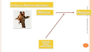 Kamis,09Mei2013
17
Detikpsikologi.wordpress.com
 