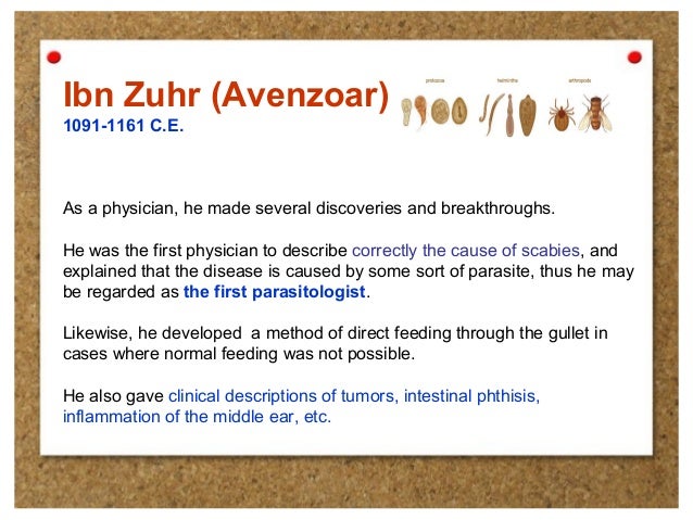 Ibn Zuhr (Avenzoar)