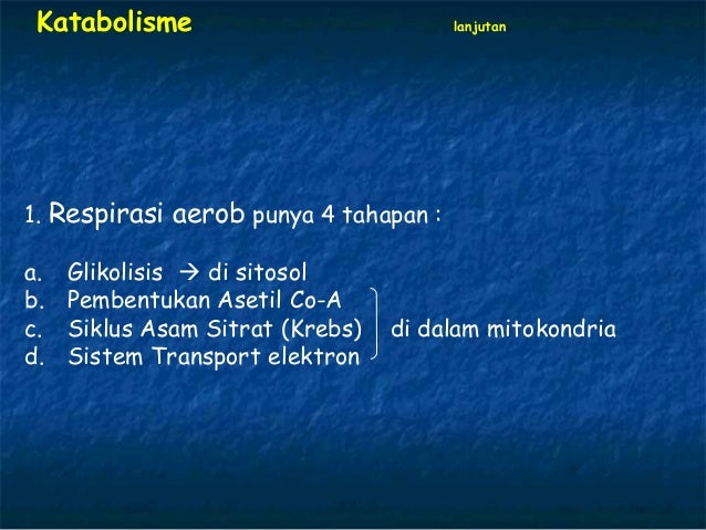 Ibo 2009 respirasi dan fotosintesis