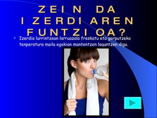 ZEIN DA IZERDIAREN FUNTZIOA? Izerdia lurrintzean larruazala freskatu eta gorputzeko tenperatura maila egokian mantentzen laguntzen digu. 