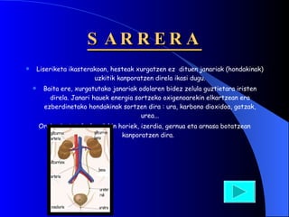 SARRERA Liseriketa ikasterakoan, hesteak xurgatzen ez  dituen janariak (hondakinak) uzkitik kanporatzen direla ikasi dugu. Baita ere, xurgatutako janariak odolaren bidez zelula guztietara iristen direla. Janari hauek energia sortzeko oxigenoarekin elkartzean era ezberdinetako hondakinak sortzen dira : ura, karbono dioxidoa, gatzak, urea... Orain aipatutako hondakin horiek, izerdia, gernua eta arnasa botatzean kanporatzen dira.  