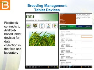 Breeding Management
Tablet Devices

Fieldbook
connects to
Androidbased tablet
devises for
data
collection in
the field and
laboratory

 