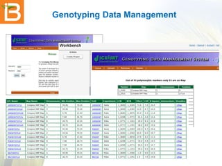 Genotyping Data Management

 