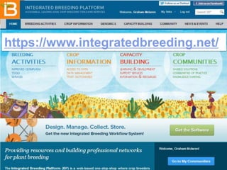 https://www.integratedbreeding.net/

 