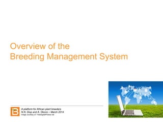 Overview of the
Breeding Management System
A platform for African plant breeders
N.N. Diop and A. Okono – March 2014
Image...