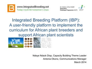 Integrated Breeding Platform (IBP):
A user-friendly platform to implement the
curriculum for African plant breeders and
support African plant scientists
Ndeye Ndack Diop, Capacity Building Theme Leader
Antonia Okono, Communications Manager
University of Eldoret, Kenya, March 2014
An initiative of the CGIAR
Generation
Challenge Programme (GCP)
 
