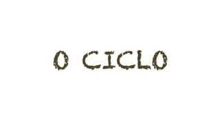 O CICLO
 