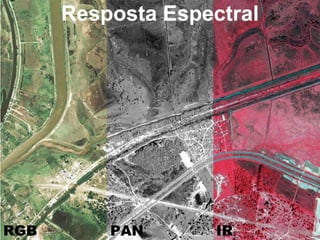 Resposta Espectral IR RGB PAN 