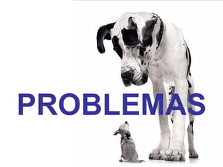 PROBLEMAS 