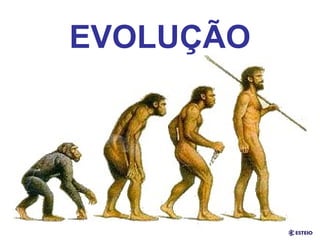 EVOLUÇÃO 