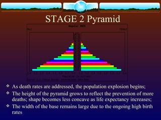STAGE 2 Pyramid
 As death rates are addressed, the population explosion begins;
 The height of the pyramid grows to reflect the prevention of more
deaths; shape becomes less concave as life expectancy increases;
 The width of the base remains large due to the ongoing high birth
rates
 
