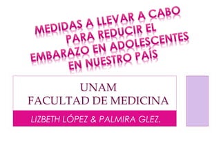 UNAM
FACULTAD DE MEDICINA
LIZBETH LÓPEZ & PALMIRA GLEZ.
 