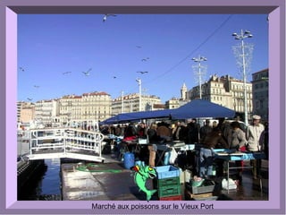 Marché aux poissons sur le Vieux Port
 