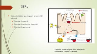 IBPs
 Vías principales que regulan la secreción
gástrica:
 Estimulación neural
 Estimulación endocrina (gastrina)
 Estimulación paracrina
Las bases farmacológicas de la terapéutica
Goodman & Gilman 11ª edición
 