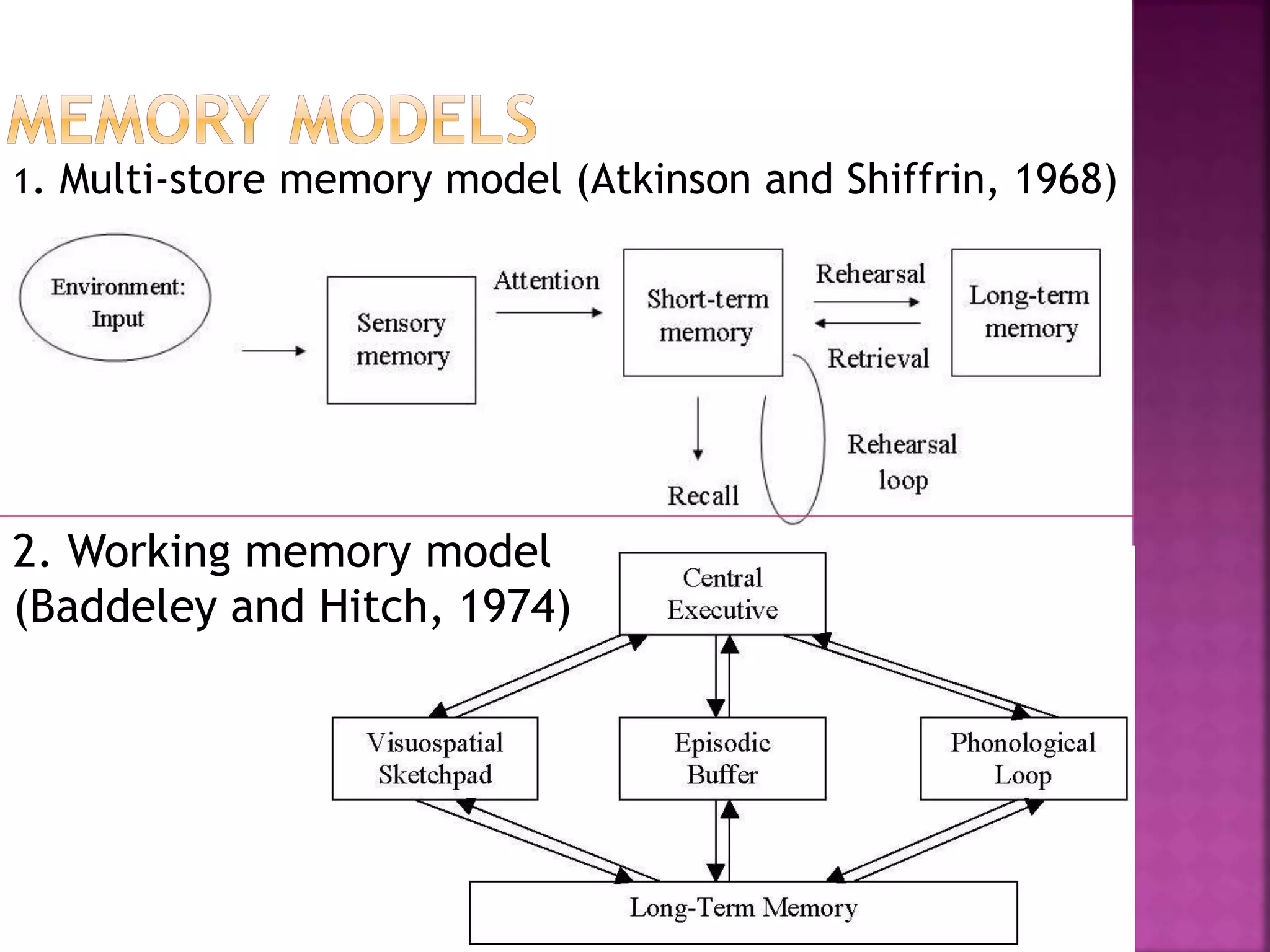 1. Multi-store memory model (Atkinson and Shiffrin, 1968)
2. Working memory model
(Baddeley and Hitch, 1974)
 