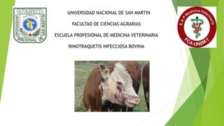 UNIVERSIDAD NACIONAL DE SAN MARTIN
FACULTAD DE CIENCIAS AGRARIAS
ESCUELA PROFESIONAL DE MEDICINA VETERINARIA
RINOTRAQUETIS INFECCIOSA BOVINA
 