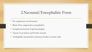 2.Neonatal/Encephalitic Form
• No respiratory involvement
• Brain-Non-suppurative encephalitis
• Lymphomonocytic Leptomeningitis
• Ataxia Convulsion and Frothy mouth.
• Acidophilic intranuclear inclusion bodies in brain cells.
 