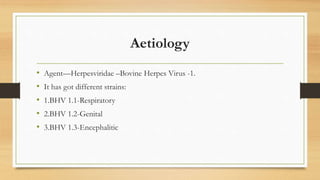 Aetiology
• Agent—Herpesviridae –Bovine Herpes Virus -1.
• It has got different strains:
• 1.BHV 1.1-Respiratory
• 2.BHV 1.2-Genital
• 3.BHV 1.3-Encephalitic
 