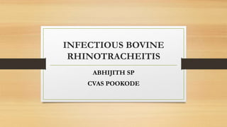 INFECTIOUS BOVINE
RHINOTRACHEITIS
ABHIJITH SP
CVAS POOKODE
 