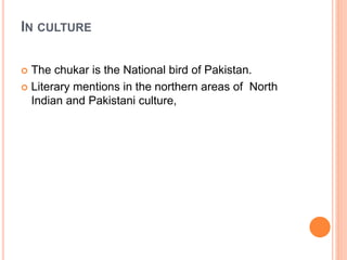 IN CULTURE
 The chukar is the National bird of Pakistan.
 Literary mentions in the northern areas of North
Indian and Pakistani culture,
 