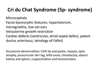 Cri du Chat Syndrome (5p- syndrome)
Microcephaly
Facial dysmorphic features: hypertelorism,
micrognathia, low-set ears
Intrauterine growth restriction
Cardiac defects (ventricular, atrial septal defect, patent
ductus arteriosus, tetralogy of Fallot)
Occasional abnormalities: Cleft lip and palate, myopia, optic
atrophy, preauricular skin tag, bifid uvula, clinodactyly, absent
kidney and spleen, cryptorchidism and hemivertebra.
 