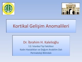 Kortikal Gelişim Anomalileri
Dr. İbrahim H. Kalelioğlu
İ.Ü. İstanbul Tıp Fakültesi
Kadın Hastalıkları ve Doğum Anabilim Dalı
Perinatoloji Bilimdalı
 