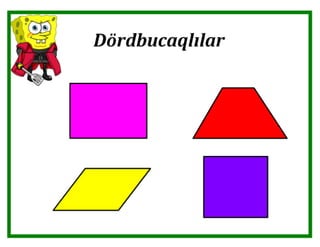 Dördbucaqlılar