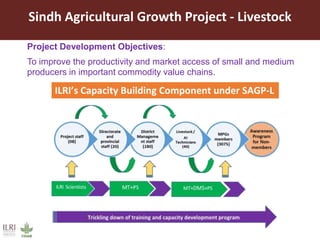 Conservation and Higher livestock productivity through innovative solutions in Pakistan