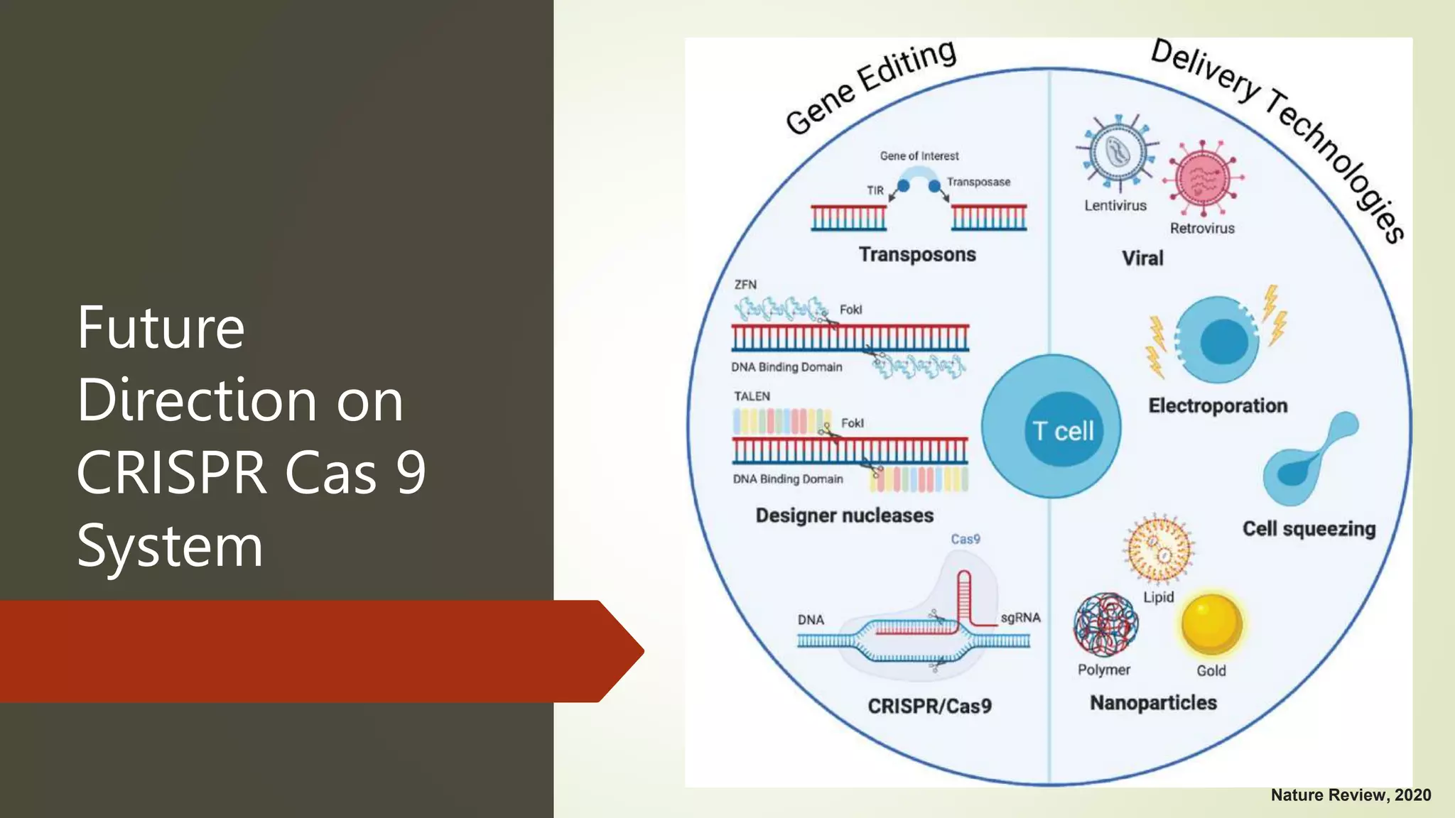 CRISPR in Cancer Biology and Therapy.pptx