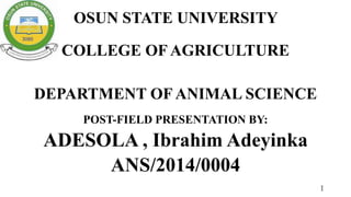 OSUN STATE UNIVERSITY
COLLEGE OF AGRICULTURE
DEPARTMENT OF ANIMAL SCIENCE
POST-FIELD PRESENTATION BY:
ADESOLA , Ibrahim Adeyinka
ANS/2014/0004
1
 
