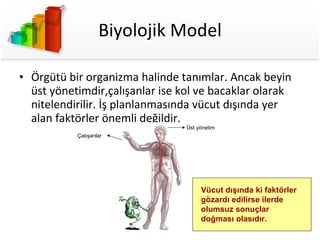 Biyolojik Model Örgütü bir organizma halinde tanımlar. Ancak beyin üst yönetimdir,çalışanlar ise kol ve bacaklar olarak nitelendirilir. İş planlanmasında vücut dışında yer alan faktörler önemli değildir. Üst yönetim Çalışanlar Vücut dışında ki faktörler gözardı edilirse ilerde olumsuz sonuçlar doğması olasıdır. 