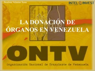 LA DONACIÓN DE
ÓRGANOS EN VENEZUELA
Ibrahim Velutini Sosa
 