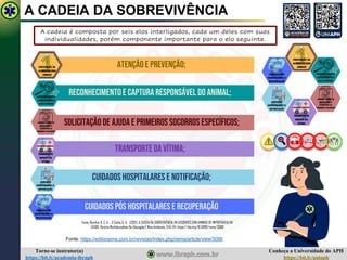 Conheça a Universidade do APH
https://bit.ly/uniaph
Torne-se instrutor(a)
https://bit.ly/academia-ibraph
A CADEIA DA SOBREVIVÊNCIA
A cadeia é composta por seis elos interligados, cada um deles com suas
individualidades, porém componente importante para o elo seguinte.
Fonte: Bomfim, K. C. A. ., & Cotta, G. A. . (2021). A CADEIA DA SOBREVIVÊNCIA EM ACIDENTES COM ANIMAIS DE IMPORTÂNCIA EM
SAÚDE. Revista MultidisciplinarDe EducaçãoE MeioAmbiente, 2(4), 04. https://doi.org/10.51189/rema/3088
Fonte: https://editoraime.com.br/revistas/index.php/rema/article/view/3088
Atençãoe prevenção;
Reconhecimentoe capturaresponsável do animal;
Solicitação de ajuda e primeiros socorros específicos;
Transporte da vítima;
Cuidados hospitalares e notificação;
Cuidados pós hospitalares e recuperação
 