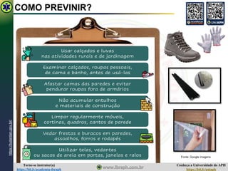 Conheça a Universidade do APH
https://bit.ly/uniaph
Torne-se instrutor(a)
https://bit.ly/academia-ibraph
COMO PREVINIR?
Usar calçados e luvas
nas atividades rurais e de jardinagem
Examinar calçados, roupas pessoais,
de cama e banho, antes de usá-las
Afastar camas das paredes e evitar
pendurar roupas fora de armários
Não acumular entulhos
e materiais de construção
Limpar regularmente móveis,
cortinas, quadros, cantos de parede
Vedar frestas e buracos em paredes,
assoalhos, forros e rodapés
Utilizar telas, vedantes
ou sacos de areia em portas, janelas e ralos
https://butantan.gov.br/
Fonte: Google imagens
 
