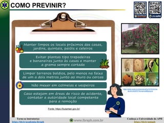 Conheça a Universidade do APH
https://bit.ly/uniaph
Torne-se instrutor(a)
https://bit.ly/academia-ibraph
Limpar terrenos baldios, pelo menos na faixa
de um a dois metros junto ao muro ou cercas
Caso estejam em áreas de risco de acidente,
contatar a autoridade local competente
para a remoção
Manter limpos os locais próximos das casas,
jardins, quintais, paióis e celeiros
Evitar plantas tipo trepadeiras
e bananeiras junto às casas e manter
a grama sempre cortada
Não mexer em colmeias e vespeiros
COMO PREVINIR?
Fonte: https://butantan.gov.br/
https://www.scielo.br/j/rbent/a/ydFg7QYNVKV4w
djLBVL8QWR/?format=pdf&lang=pt
 