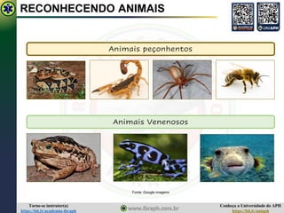 Conheça a Universidade do APH
https://bit.ly/uniaph
Torne-se instrutor(a)
https://bit.ly/academia-ibraph
RECONHECENDO ANIMAIS
Animais peçonhentos
Animais Venenosos
Fonte: Google imagens
 