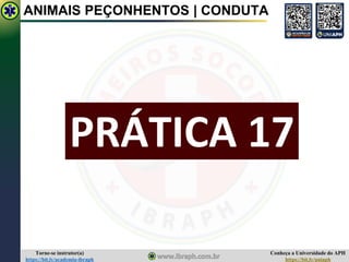 Conheça a Universidade do APH
https://bit.ly/uniaph
Torne-se instrutor(a)
https://bit.ly/academia-ibraph
PRÁTICA 17
ANIMAIS PEÇONHENTOS | CONDUTA
 
