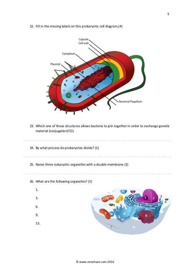 Biology 1 9th grade image