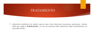 TRATAMIENTO
 Administrar antibióticos de amplio espectro para evitar infecciones bacterianas oportunistas. Además
habrá que cuidar la deshidratación y en caso de presentar fiebre administrar algún antiinflamatorio no
esteroidal (AINE).
 