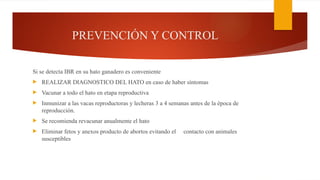 PREVENCIÓN Y CONTROL
Si se detecta IBR en su hato ganadero es conveniente
 REALIZAR DIAGNOSTICO DEL HATO en caso de haber síntomas
 Vacunar a todo el hato en etapa reproductiva
 Inmunizar a las vacas reproductoras y lecheras 3 a 4 semanas antes de la época de
reproducción.
 Se recomienda revacunar anualmente el hato
 Eliminar fetos y anexos producto de abortos evitando el contacto con animales
susceptibles
 